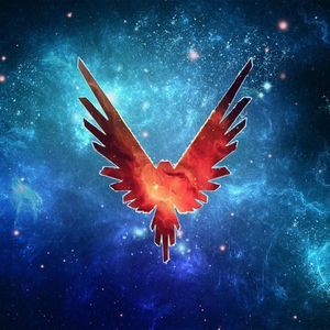 Meet your Posher, Hunter